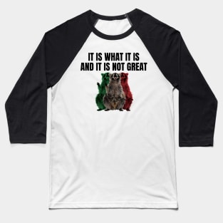 It Is What It Is And It Is Not Great Baseball T-Shirt